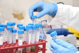 Laboratorio